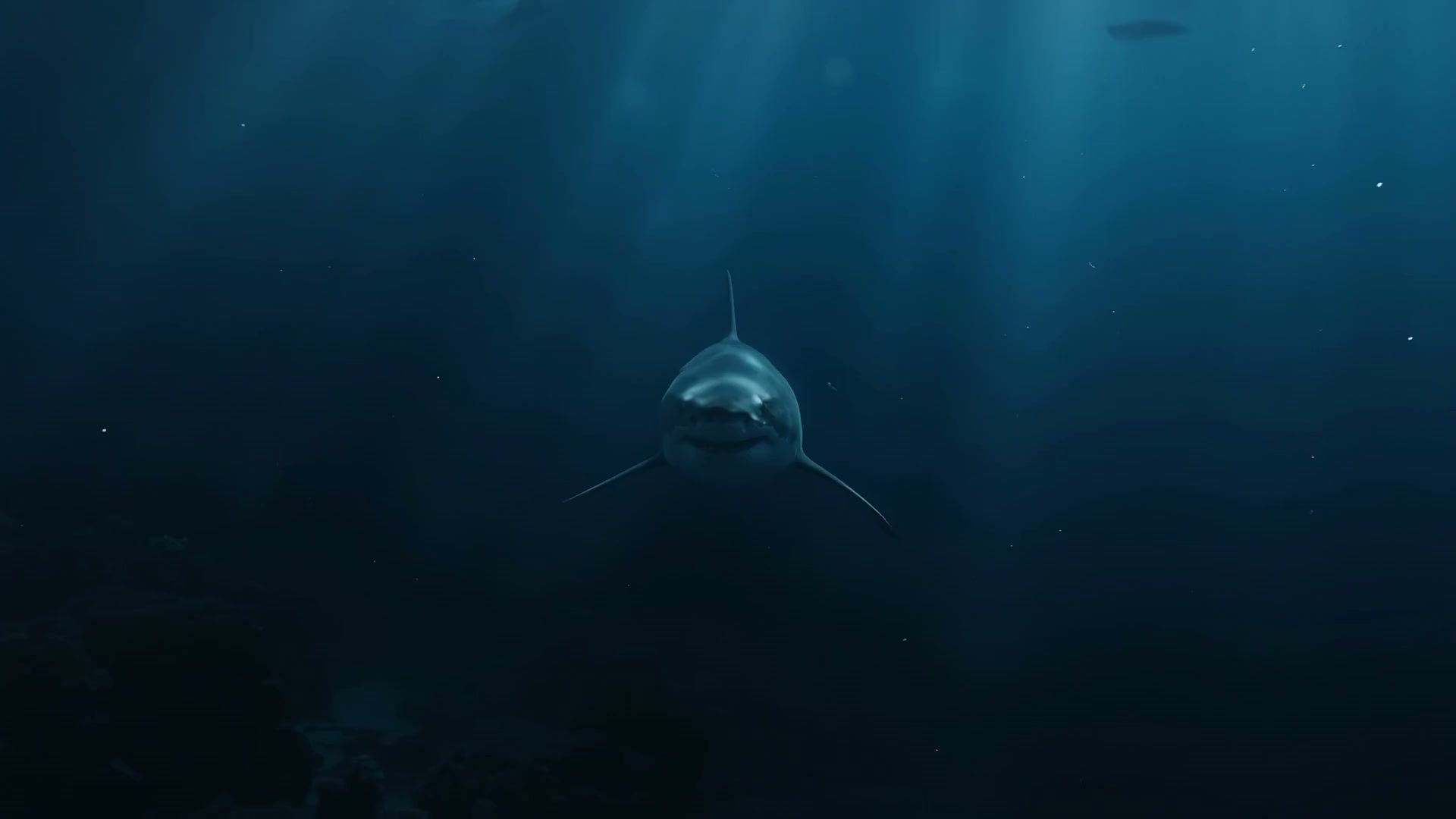 Deep Mediterranean Waters