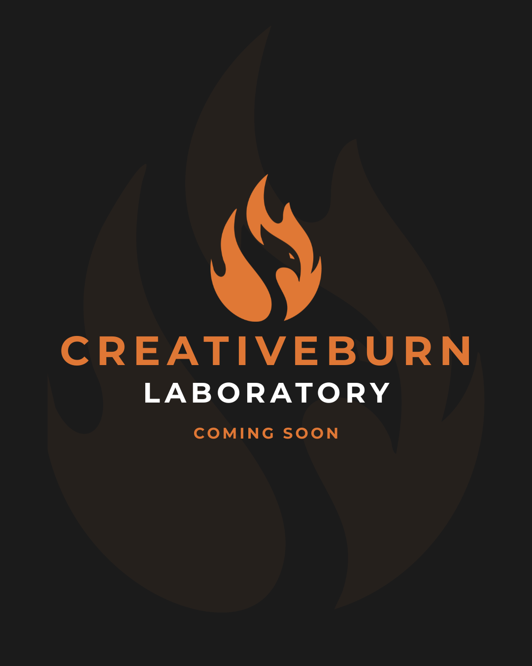 Creative Burn , Agenzia, SEO, Pubblicità ,Grafica , Agenzia di marketing a Padova