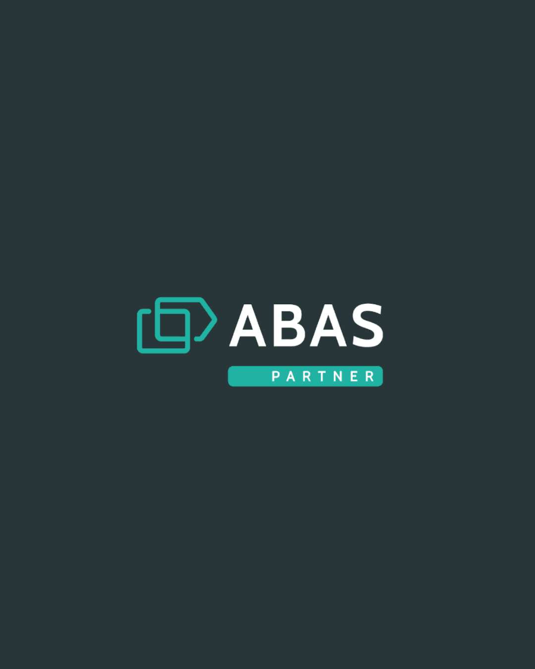 Restyling Sito Web – Abas ERP