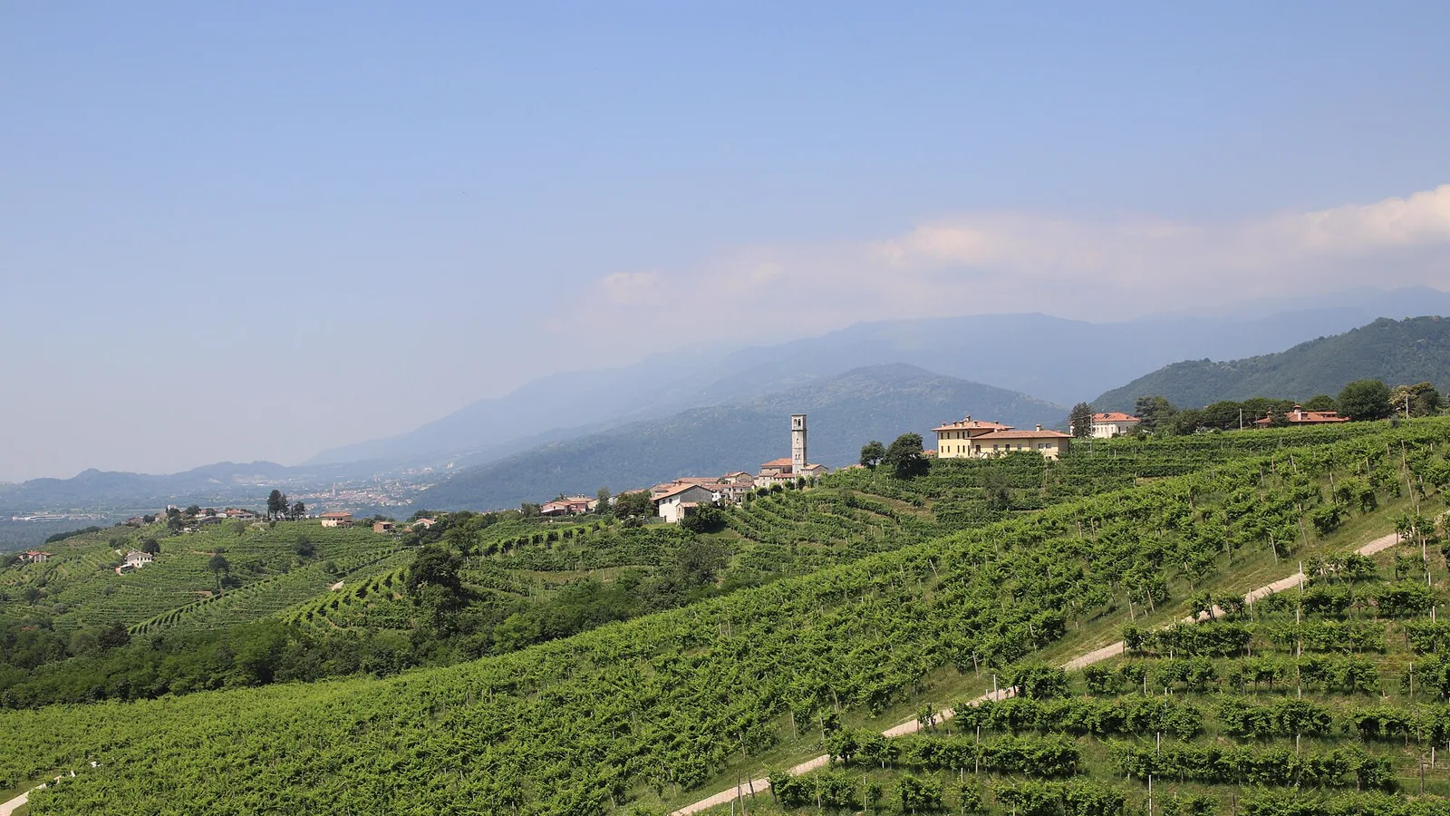Vendere Vino Online in UE: Normative, Accise e Logistica Sicura